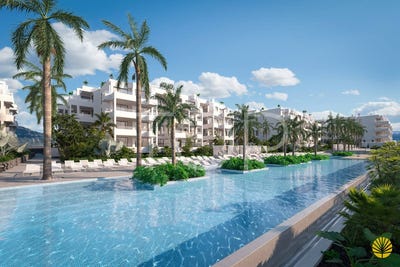 /international/es/palm-mar-canary-islands-310107737028/