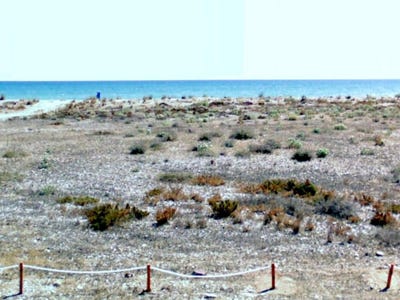 /international/es/almenara-valencian-community-310101277070/?lang=zh-tw