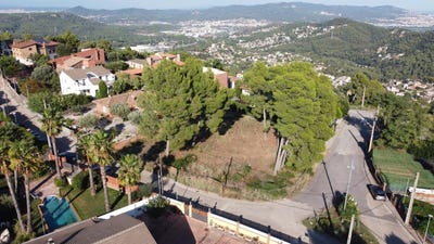 /international/es/cervello-catalonia-310105742458/