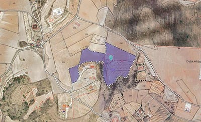 /international/es/pinoso-valencian-community-310108553334/