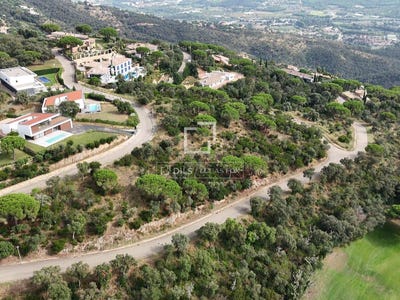 /international/es/romanya-de-la-selva-catalonia-310102014654/