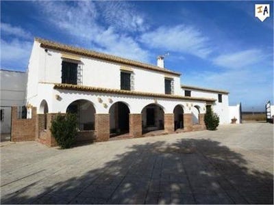/international/es/mollina-andalusia-120037886394/