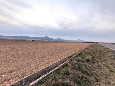 /international/es/yecla-region-of-murcia-310100741456/