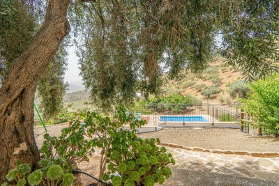 /international/es/colmenar-andalusia-310107899735/