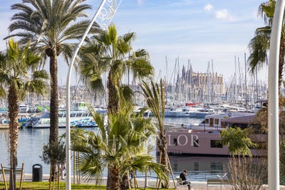 /international/es/palma-de-mallorca-balearic-islands-310108242868/