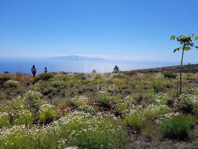 /international/es/santa-cruz-de-tenerife-canary-islands-310101226453/