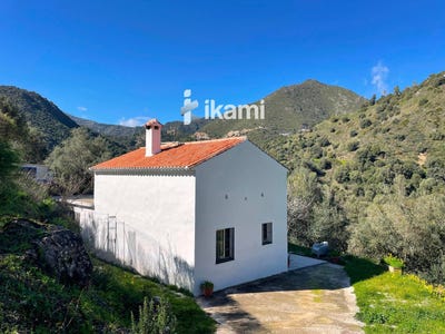 /international/es/malaga-andalusia-310105788774/