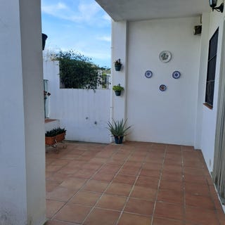 /international/es/el-pedroso-andalusia-310099049884/