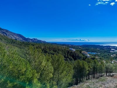/international/es/altea-valencian-community-310108601957/
