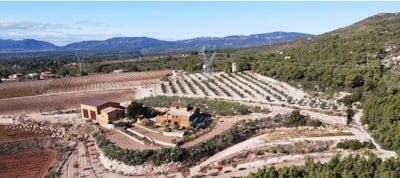 /international/es/cami-mas-blanquet-perafort-catalonia-310107090896/