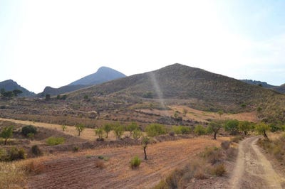 /international/es/aguilas-region-of-murcia-310102893967/
