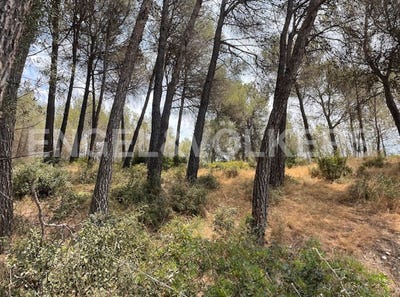 /international/es/rubi-catalonia-310095563006/