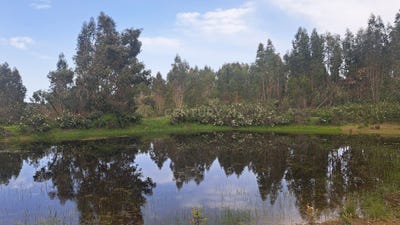 /international/es/herrera-de-alcantara-extremadura-310107237411/