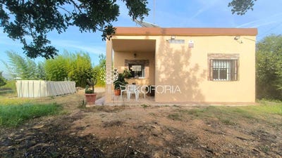 /international/es/cheste-valencian-community-310108677611/