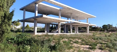 /international/es/elche-valencian-community-310106447650/