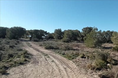 /international/es/montesinos-los-valencian-community-310101948544/