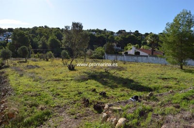 /international/es/denia-valencian-community-310101228271/?lang=zh-tw