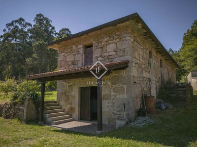 /international/es/pineiro-tomino-galicia-310101130699/