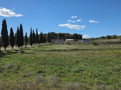 /international/es/calasparra-region-of-murcia-310107218361/