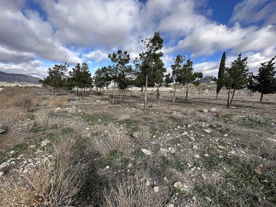 /international/es/salinas-valencian-community-310106992017/