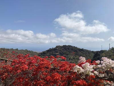 /international/es/guia-de-isora-canary-islands-310096300855/?lang=zh-tw