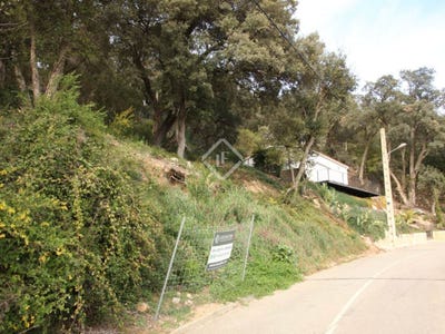 /international/es/santa-cristina-d-aro-catalonia-120093088832/