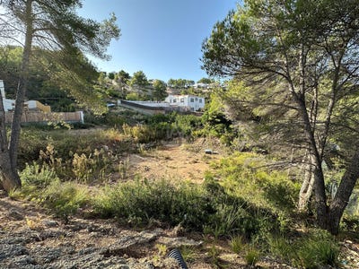 /international/es/sant-pere-de-ribes-catalonia-310107498303/