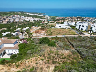 /international/es/74-narcisos-san-roque-andalusia-310108862390/