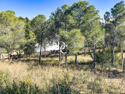 /international/es/sitges-catalonia-310100443460/