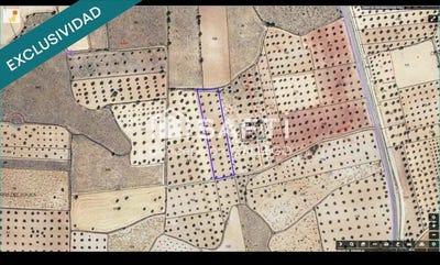 /international/es/campo-de-criptana-castile-la-mancha-310105739713/