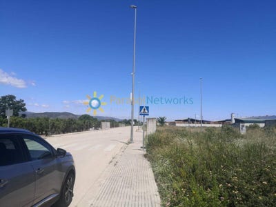 /international/es/daimus-valencian-community-310107521484/