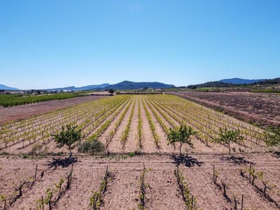 /international/es/pinoso-valencian-community-310109577769/