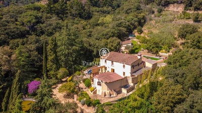 /international/es/arenys-de-munt-catalonia-310108001880/