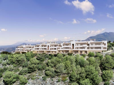 /international/es/istan-andalusia-310104982524/