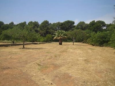 /international/es/denia-valencian-community-310106390618/