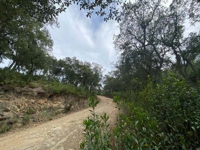 /international/es/calonge-catalonia-310100639263/