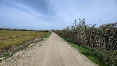 /international/es/sollana-valencian-community-310105829648/