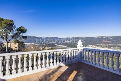 /international/es/cervello-catalonia-310100637431/