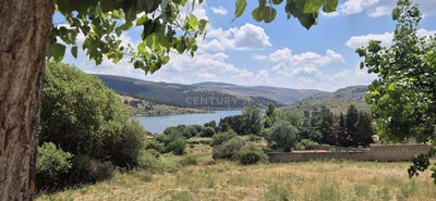 /international/es/peguerinos-castile-and-leon-310108921487/