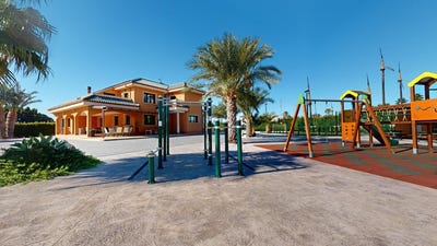 /international/es/elche-valencian-community-310107372181/