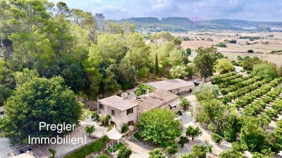 /international/es/san-juan-san-juan-balearic-islands-310103488732/