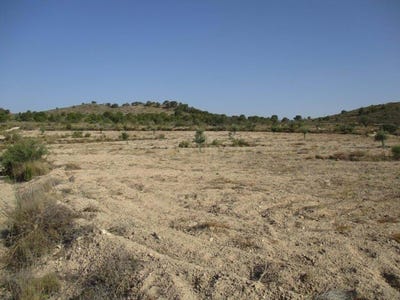 /international/es/orxeta-valencian-community-310100665911/