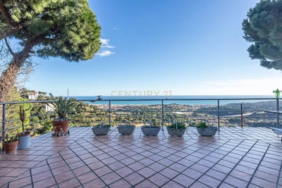 /international/es/calella-catalonia-310105743736/