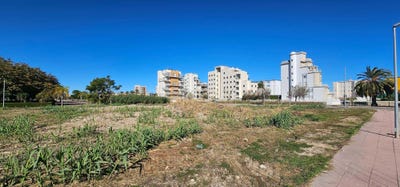 /international/es/piles-valencian-community-310109124008/