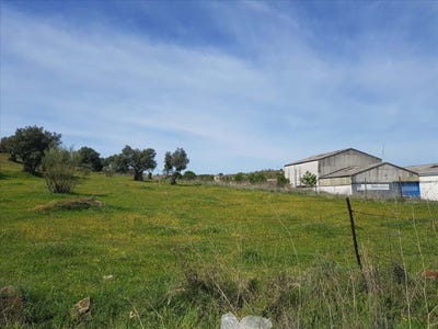 /international/es/plasencia-extremadura-310105187605/