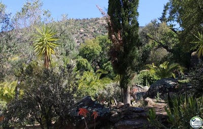 /international/es/palau-saverdera-catalonia-310100285460/?lang=zh-cn