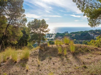 /international/es/blanes-catalonia-310104210921/