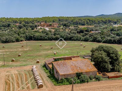 /international/es/forallac-catalonia-310101061685/?lang=zh-tw