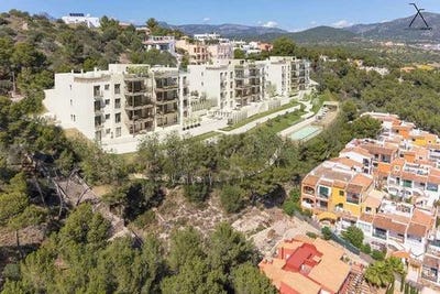 /international/es/costa-de-la-calma-balearic-islands-310109111076/
