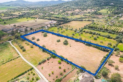 /international/es/manacor-balearic-islands-310103457475/